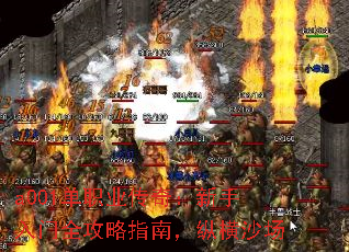 a001��ְҵ���棺��������ȫ����ָ�ϣ��ݺ�ɳ��