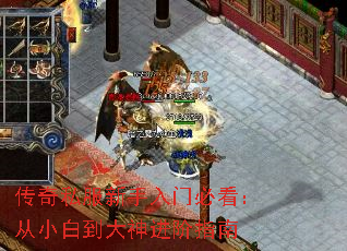 ����˽���������űؿ�����С�׵��������ָ��