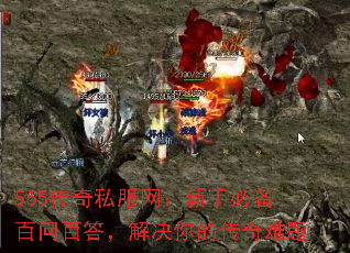 555����˽���������ֱر����ʰٴ𣬽����Ĵ�������