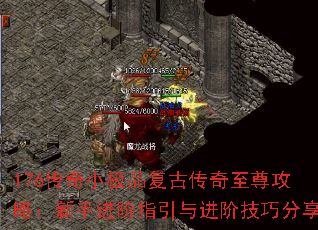 176����С��Ʒ���Ŵ��������ԣ����ֽ���ָ������׼��ɷ���