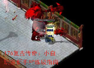 176���Ŵ��棺С��������ִ�����ָ��