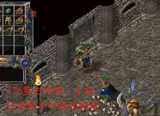 176���Ŵ��棺С��������ִ�����ָ��