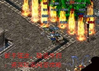 ������;���ɻ�ɨ����������ʴ���