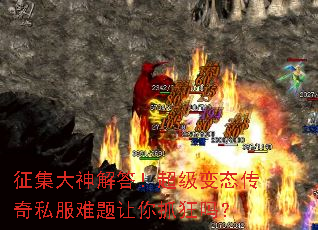 ���������𣡳�����̬����˽����������ץ����