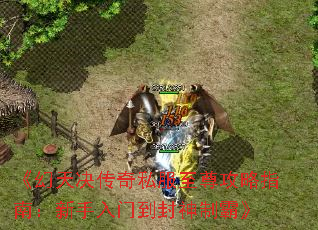 �����������˽��������ָ�ϣ��������ŵ������ưԡ�