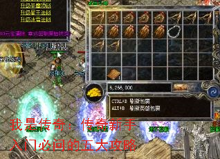 ���Ǵ��棺�����������ű��ʵ������