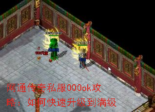 网通传奇私服000ok攻略:如何快速升级到满级 网通传奇私服000ok攻略:如何快速升级到满级