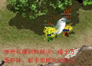 传奇私服制胜秘诀:道士万灵护体,新手也能叱咤风云 传奇私服制胜秘诀:道士万灵护体,新手也能叱咤风云