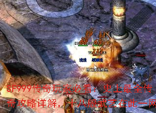 SF999������ұؿ���ʷ����ȫ���湥����⣬ʮ�˰������ڴ�һ����