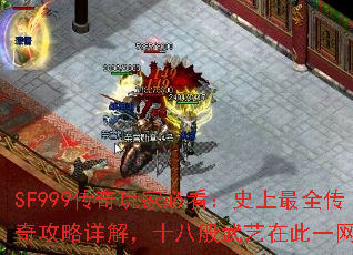 SF999������ұؿ���ʷ����ȫ���湥����⣬ʮ�˰������ڴ�һ����