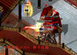 ����˽��sf314�����ֹ���