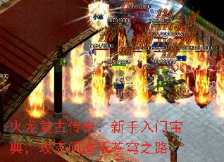 �������Ŵ��棺�������ű��䣬�����ʵ��ڲ��֮·