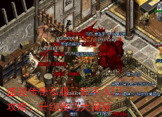 盛趣传奇私服:新手入门攻略,升级技巧大揭秘 盛趣传奇私服:新手入门攻略,升级技巧大揭秘