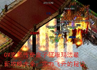 GM变态传奇盒子征服玛法最新攻略大全:实力飞升的秘诀 GM变态传奇盒子征服玛法最新攻略大全:实力飞升的秘诀