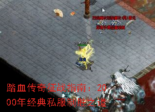 ̤Ѫ������սָ�ϣ�2000�꾭��˽����ʤ֮��