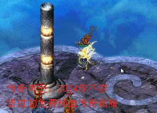 �������֣�2024�겻�ݴ����������Ѫ����˽��