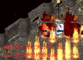 ���������ؼ��󹫿���̤������֮·���ռ�ָ��