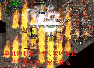 �������ɸ��Ŵ��湥���ؼ�����������������ȫ����