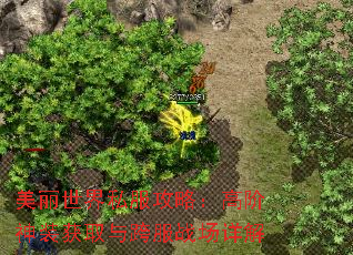 ��������˽�����ԣ��߽���װ��ȡ����ս�����