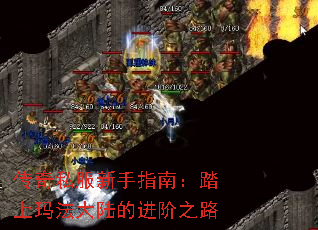 ����˽������ָ�ϣ�̤���귨��½�Ľ���֮·