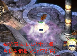 ���������žŰ�ʮһ�ѣ�����������������ƽ⣿