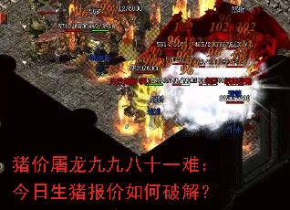 ���������žŰ�ʮһ�ѣ�����������������ƽ⣿