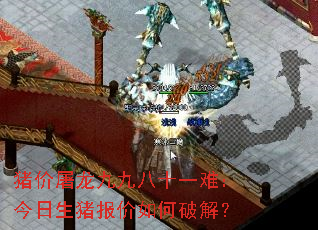 ���������žŰ�ʮһ�ѣ�����������������ƽ⣿