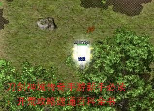 刀剑神域传奇手游新手必读:开荒攻略速通百科全书 刀剑神域传奇手游新手必读:开荒攻略速通百科全书