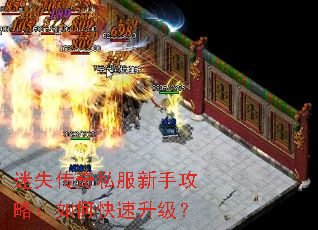 ��ʧ����˽�����ֹ��ԣ���ο���������