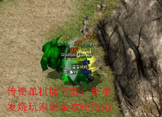 ���浥�������أ����ַ��������ȫ����ָ��