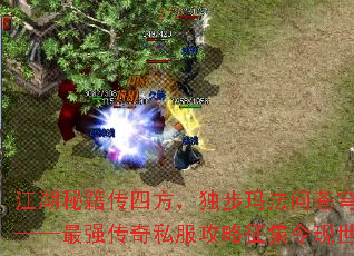 江湖秘籍传四方,独步玛法问苍穹——最强传奇私服攻略征集令现世 江湖秘籍传四方,独步玛法问苍穹——最强传奇私服攻略征集令现世