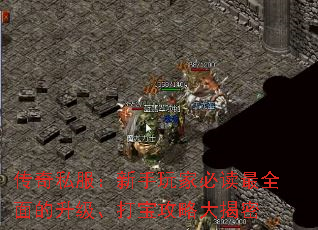 传奇私服:新手玩家必读最全面的升级、打宝攻略大揭密 传奇私服:新手玩家必读最全面的升级、打宝攻略大揭密