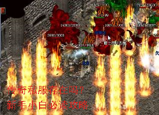 传奇私服存在吗?新手小白必读攻略 传奇私服存在吗?新手小白必读攻略