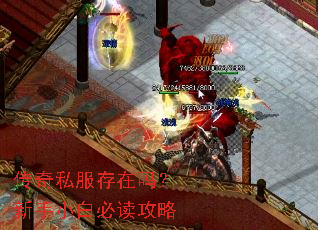 ����˽������������С�ױض�����