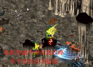 ������Ѫ����˽�����ԣ����ֽ��ױض��ؼ�