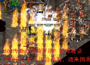 666����sfǿ�ƿ����������ؾ�����ͣ����ֽ��ױؿ�������Χ�ۣ�