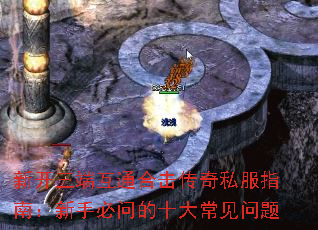 �¿����˻�ͨ�ϻ�����˽��ָ�ϣ����ֱ��ʵ�ʮ�󳣼�����