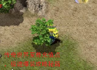 传奇世界至尊充值点,极速爆装攻略秘籍 传奇世界至尊充值点,极速爆装攻略秘籍