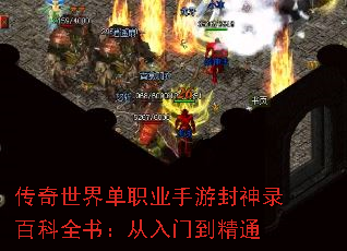 �������絥ְҵ���η���¼�ٿ�ȫ�飺�����ŵ���ͨ