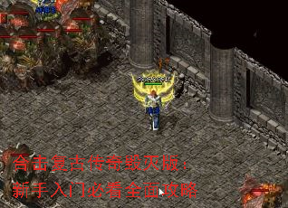 �ϻ����Ŵ������棺�������űؿ�ȫ�湥��