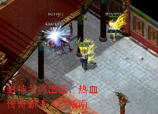 ����������������Ѫ������������ָ��