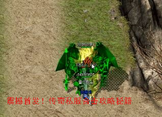 震撼首发!传奇私服合击攻略秘籍 震撼首发!传奇私服合击攻略秘籍