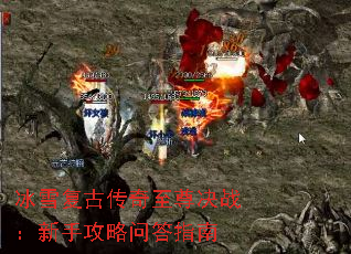 ��ѩ���Ŵ��������ս�����ֹ����ʴ�ָ��