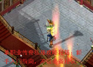 单职业传奇私服攻略秘籍:新手入门指南,冲级必备秘诀 单职业传奇私服攻略秘籍:新手入门指南,冲级必备秘诀