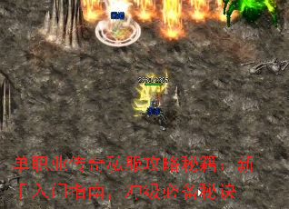 单职业传奇私服攻略秘籍:新手入门指南,冲级必备秘诀 单职业传奇私服攻略秘籍:新手入门指南,冲级必备秘诀