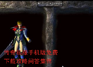 ����˽���ֻ���������ع����ʴ𼯽�