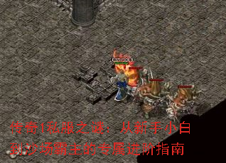 传奇1私服之谜:从新手小白到沙场霸主的专属进阶指南 传奇1私服之谜:从新手小白到沙场霸主的专属进阶指南