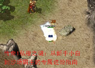 传奇1私服之谜:从新手小白到沙场霸主的专属进阶指南 传奇1私服之谜:从新手小白到沙场霸主的专属进阶指南