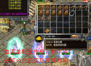 Ѫ�ӵ�ְҵ���棺�������ű�֪�ػ��ʵ�ù���ָ��