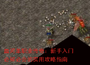 Ѫ�ӵ�ְҵ���棺�������ű�֪�ػ��ʵ�ù���ָ��